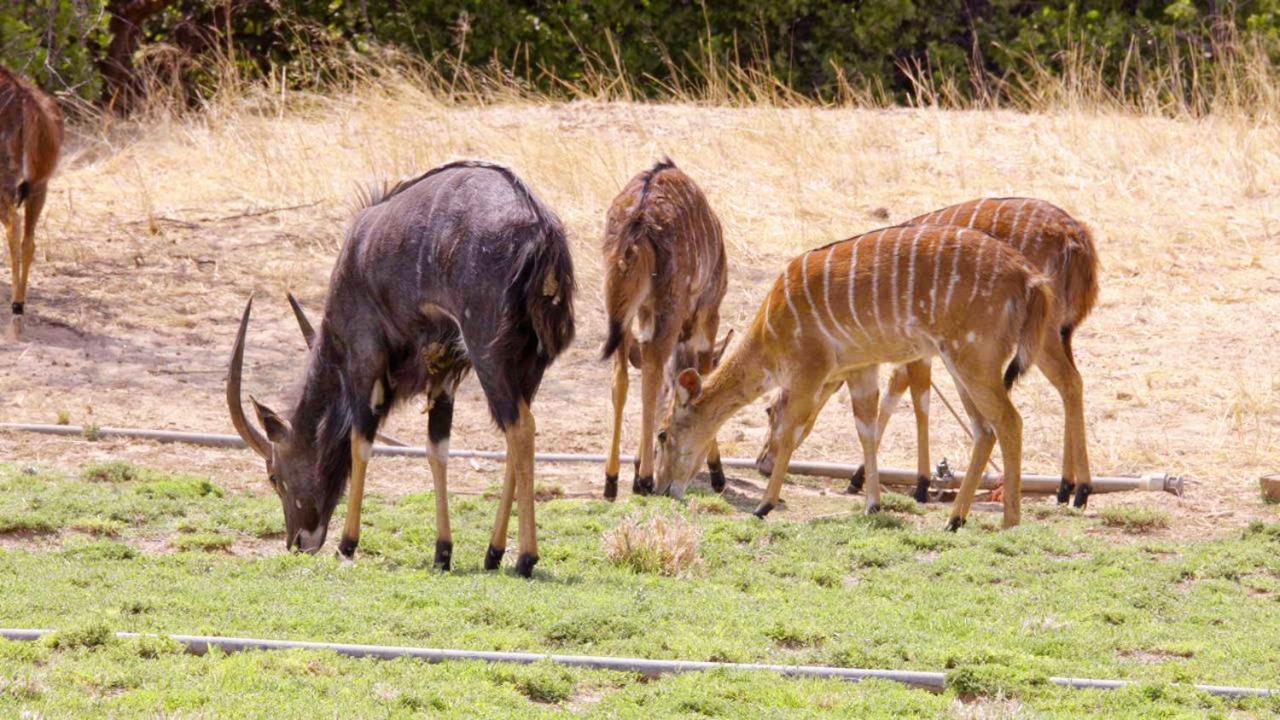 מלון Usakos Uitkyk Guest Farm מראה חיצוני תמונה